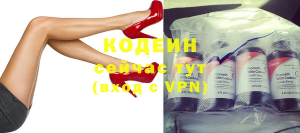 стаф Нестеровская