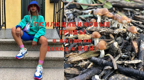 стаф Нестеровская