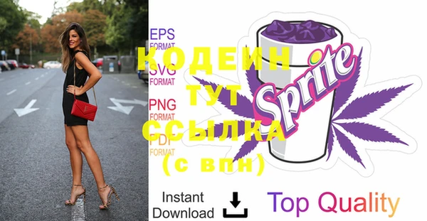 стаф Нестеровская