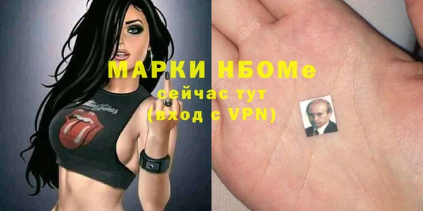 индика Ессентукская