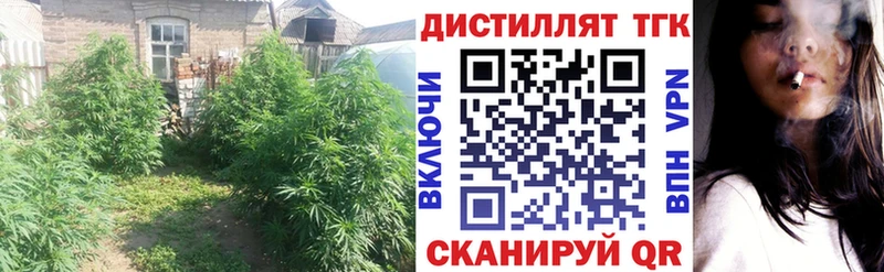 Дистиллят ТГК жижа Купить Тосно